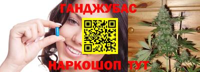 индика Гусь-Хрустальный