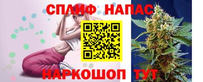 индика Гусь-Хрустальный