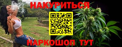 индика Гусь-Хрустальный