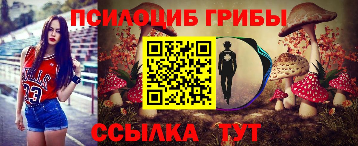 Мирный  Псилоцибиновые грибы ЛСД  Вход с VPN 