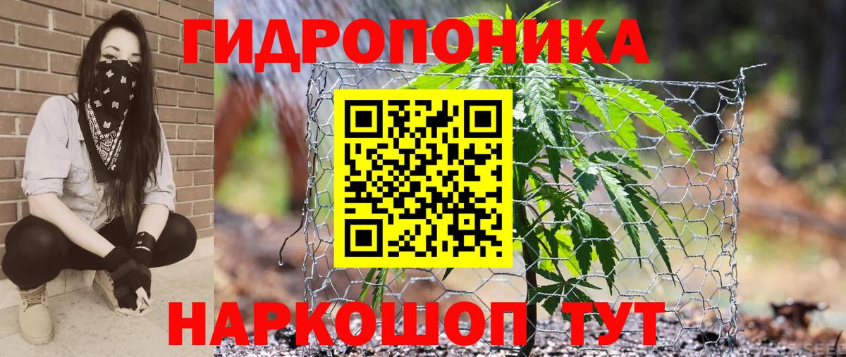 Мирный  МАРИХУАНА гибрид  Каннабис LSD WEED  Вход с VPN  Бошки марихуана OG Kush 